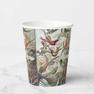 Vasos De Papel Póster Vintage Colorido de Colibrí de Ernst Haecke