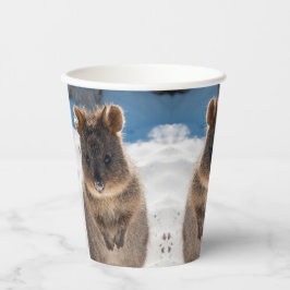 Vasos De Papel Quokka on the beach in Australia, cute photo