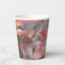 Ramas rosadas de bonito