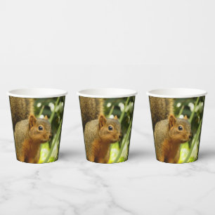 Vasos De Papel Retrato de una fotografía animal de la naturaleza