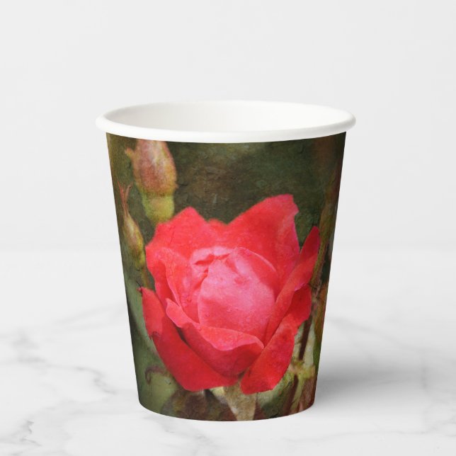 Vasos De Papel Rojo, rosa rojo (Anverso)