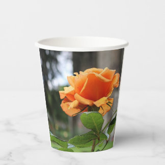 Vasos De Papel Rosa