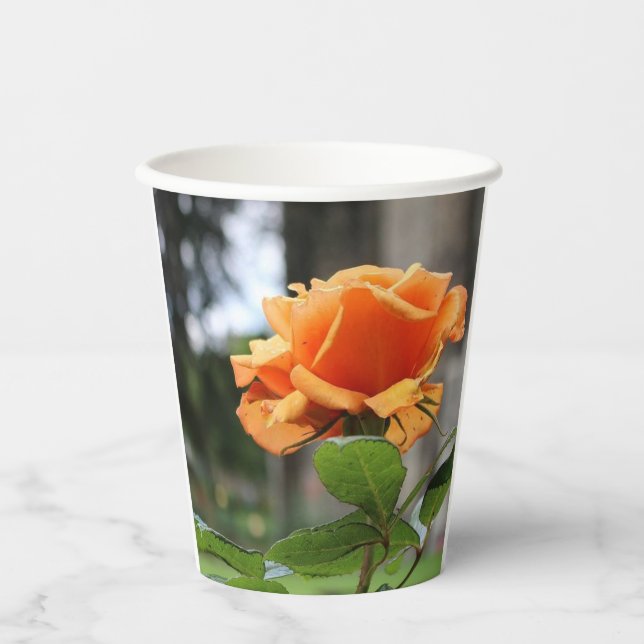 Vasos De Papel Rosa (Anverso)