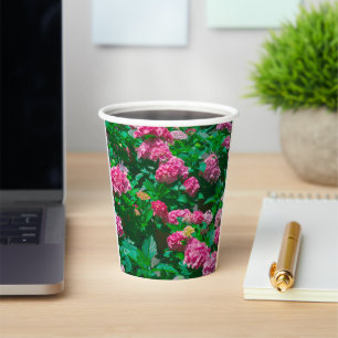 Vasos De Papel Rosa de navidades Helleborus Flowers Floral