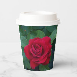 Vasos De Papel Rosa Roja de Cerca