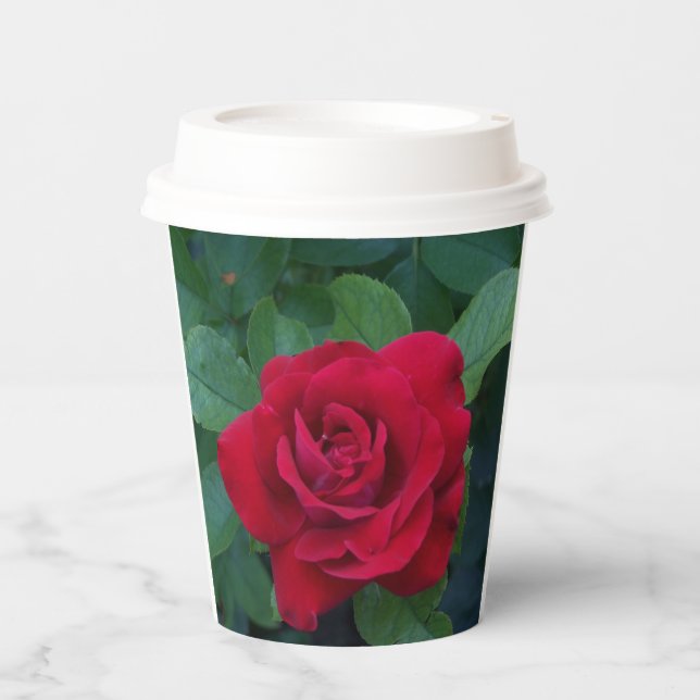 Vasos De Papel Rosa Roja de Cerca (Anverso)