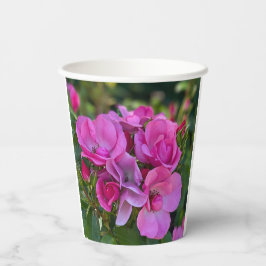 Vasos De Papel Rosa rosa de lavanda