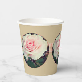 Vasos De Papel Rosa Rosa Rosa Con Beige