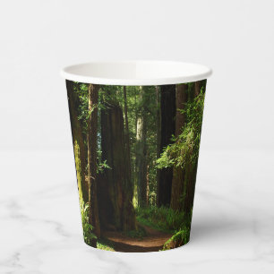 Vasos De Papel Secuoyas y ferris en el Parque Nacional Redwood