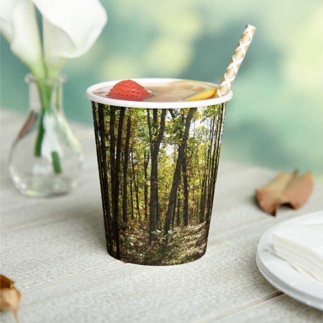 Vasos De Papel Sendero Apalache en octubre en Shenandoah (in situ)