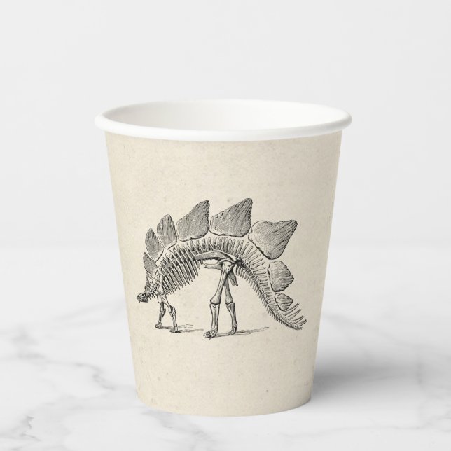 Vasos De Papel Stegosaurus Dinosaur Skeleton Fossil (Anverso)