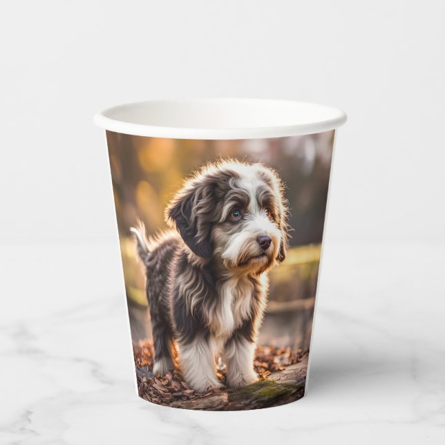 Vasos De Papel Süßer Aussiedoodle Welpe (Anverso)