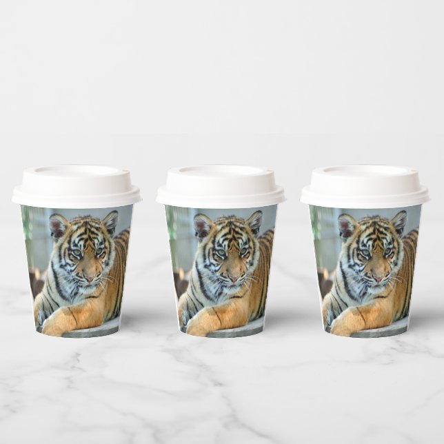 Vasos De Papel Tigre 034 (Multi)