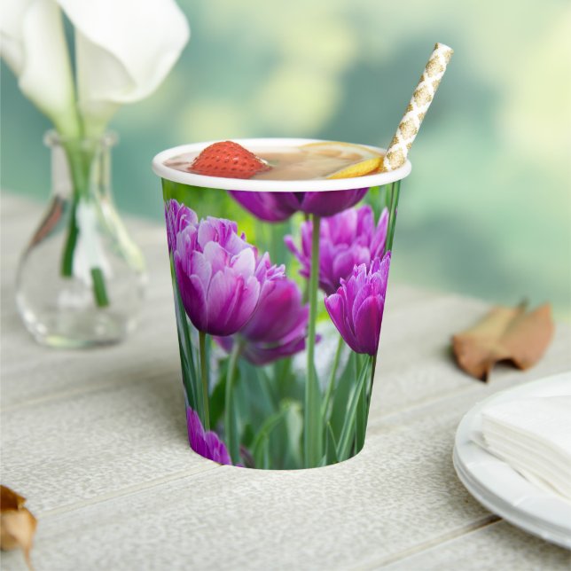 Vasos De Papel Tulipanes lilacos brillantes en un día soleado (in situ)