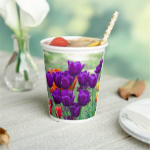 Tulipanes morados en un día soleado en el jardín