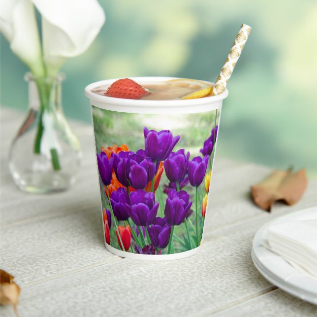 Vasos De Papel Tulipanes morados en un día soleado en el jardín (in situ)