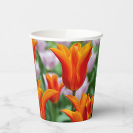 Vasos De Papel Tulipanes naranjas brillantes en el parque