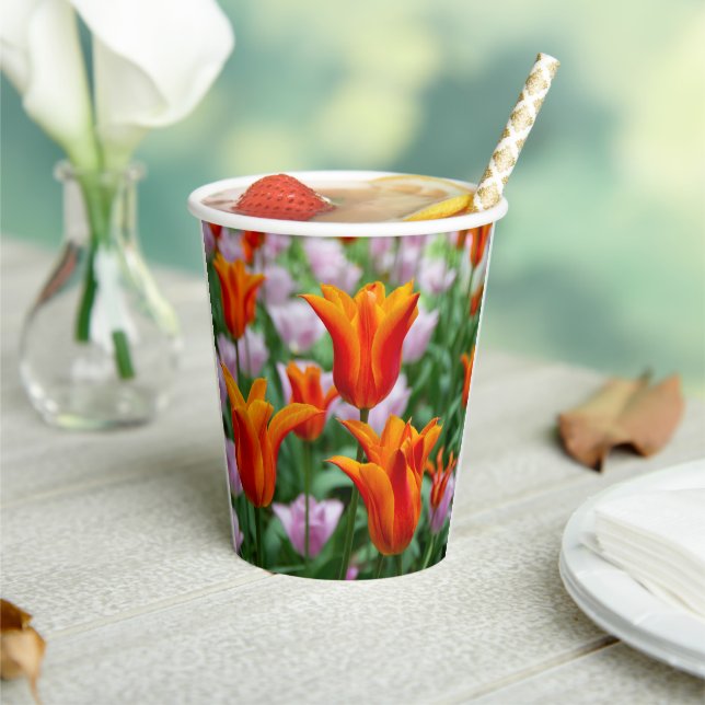 Vasos De Papel Tulipanes naranjas brillantes en el parque (in situ)