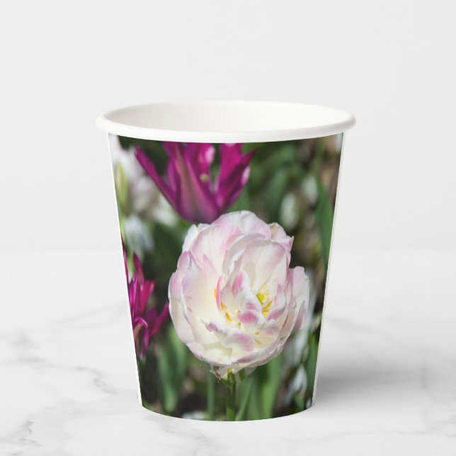 Vasos De Papel Tulipanes rosa brillante en un día soleado (Anverso)