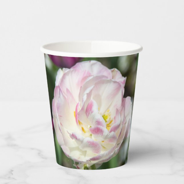 Vasos De Papel Tulipanes rosa brillante en un día soleado (Izquierda)