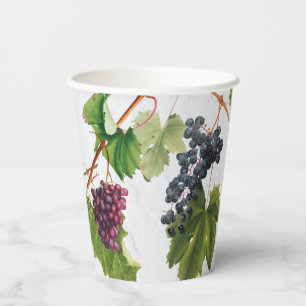 Vasos De Papel Vineyard
