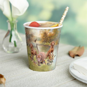 Vasos De Papel Vizsla de cabello alámbrico húngaro