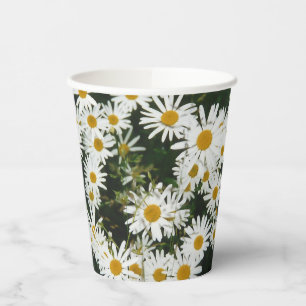 Vasos De Papel White Oxeye Daisy, Moon Daisy Meadow