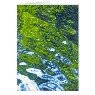 ¡Vaya con el flujo!