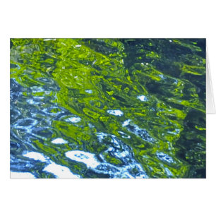 ¡Vaya con el flujo!