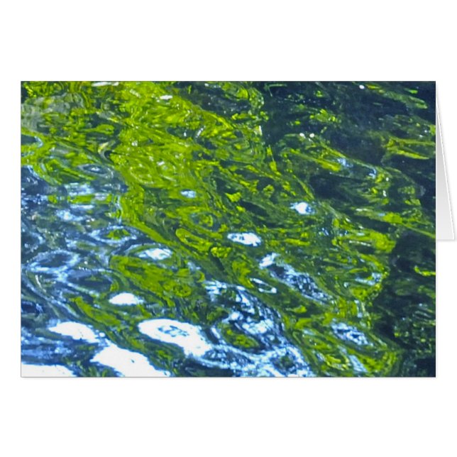 ¡Vaya con el flujo! (Anverso (Horizontal))