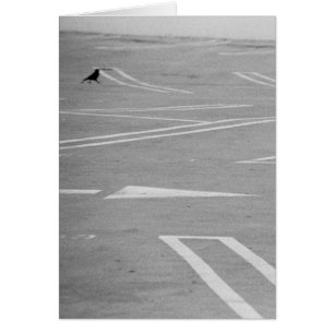 ¡Vayamos esa manera!!