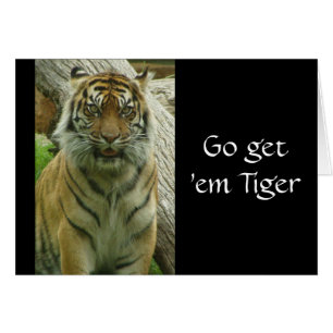 Ve a por ellos Tiger