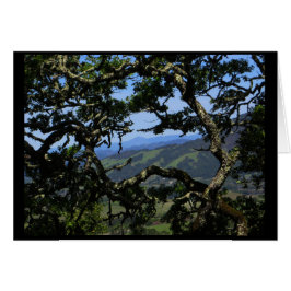 Vea de la montaña de Sonoma