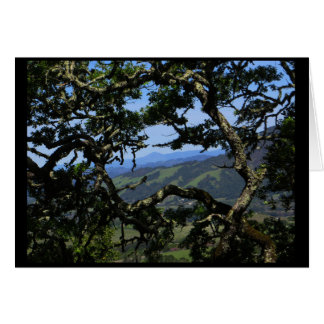 Vea de la montaña de Sonoma