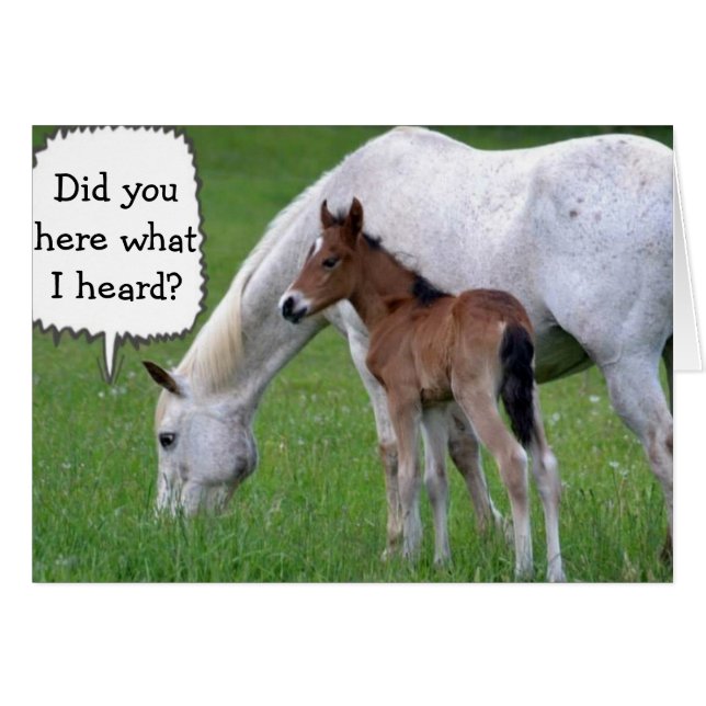 VECINO NO PUEDES SER "30" DICE PONY AND HORSE (Anverso (Horizontal))