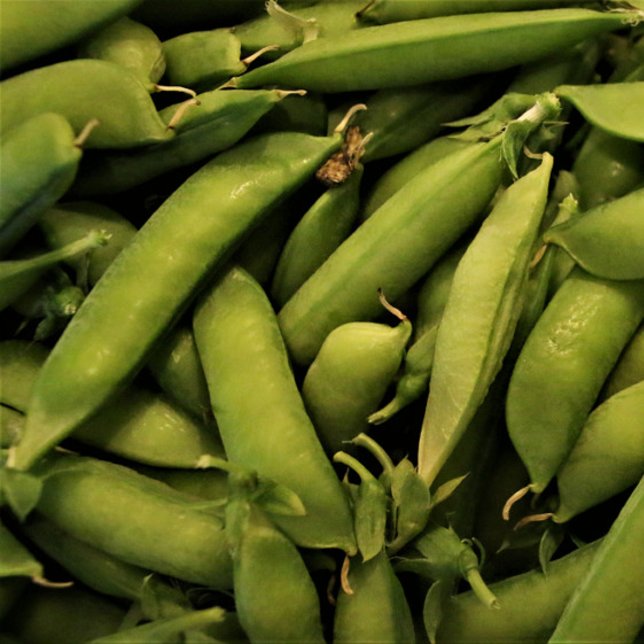 Vegan Garden Pea Puzzle (Subido por el creador)