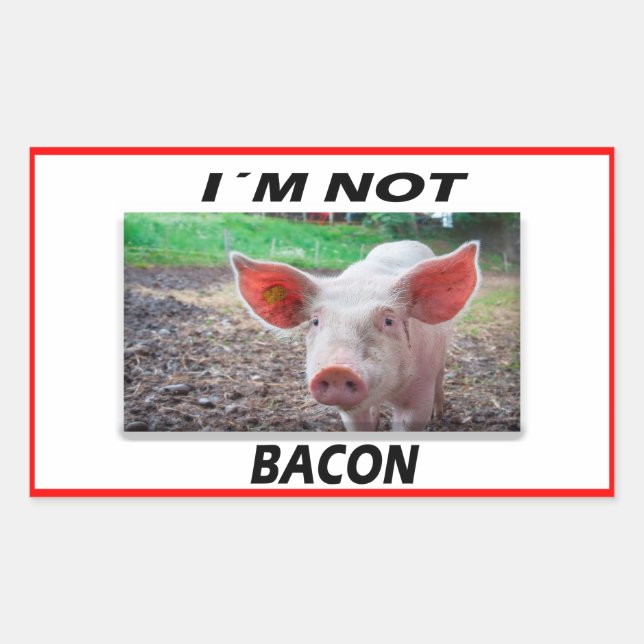 Vegan | Pegatinas del activismo | Salvar a los ani (Anverso)