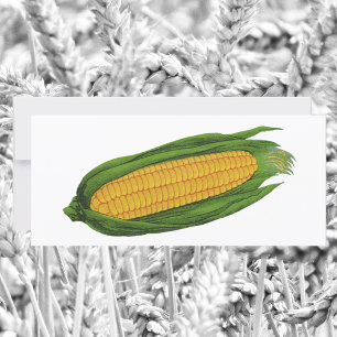 Vegetales de alimentos de época; maíz amarillo en 