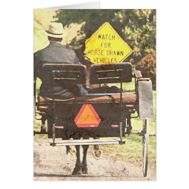 Vehículos de caballos, caballos de Amish y Kalona  (Frente)