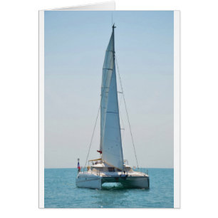Vela Catamaran Clara