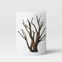 Estructura de árbol