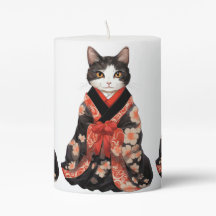 Gato de Kimono