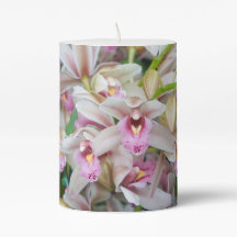 Orquídeas rosadas