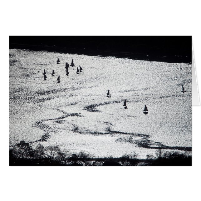 Veleros en la silueta, lavabo del río Charles, (Anverso (Horizontal))