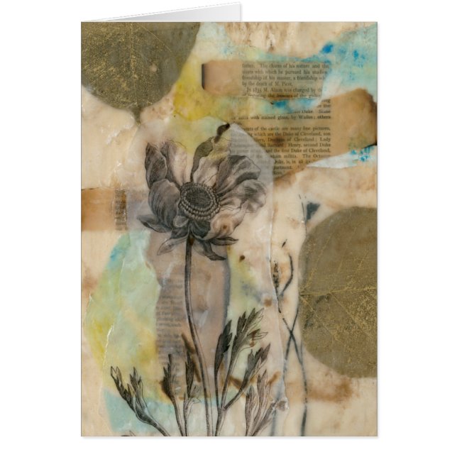 Vellum Floral II (Frente)