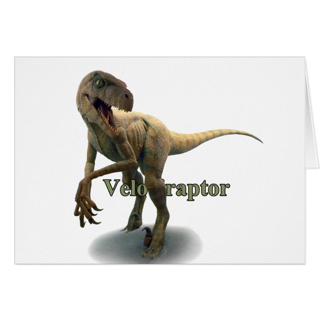 Velociraptor (Anverso (Horizontal))