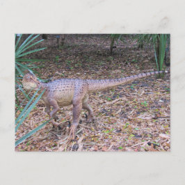 Velociraptor - Dinosaurio - Tarjeta de aprendizaje