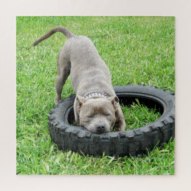 Ven A Jugar A Staffy, Rompecabezas De Jigsaw (Vertical)