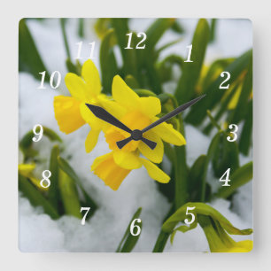 Ven al reloj de pared de primavera