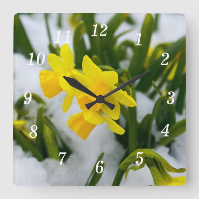 Ven al reloj de pared de primavera (Anverso)